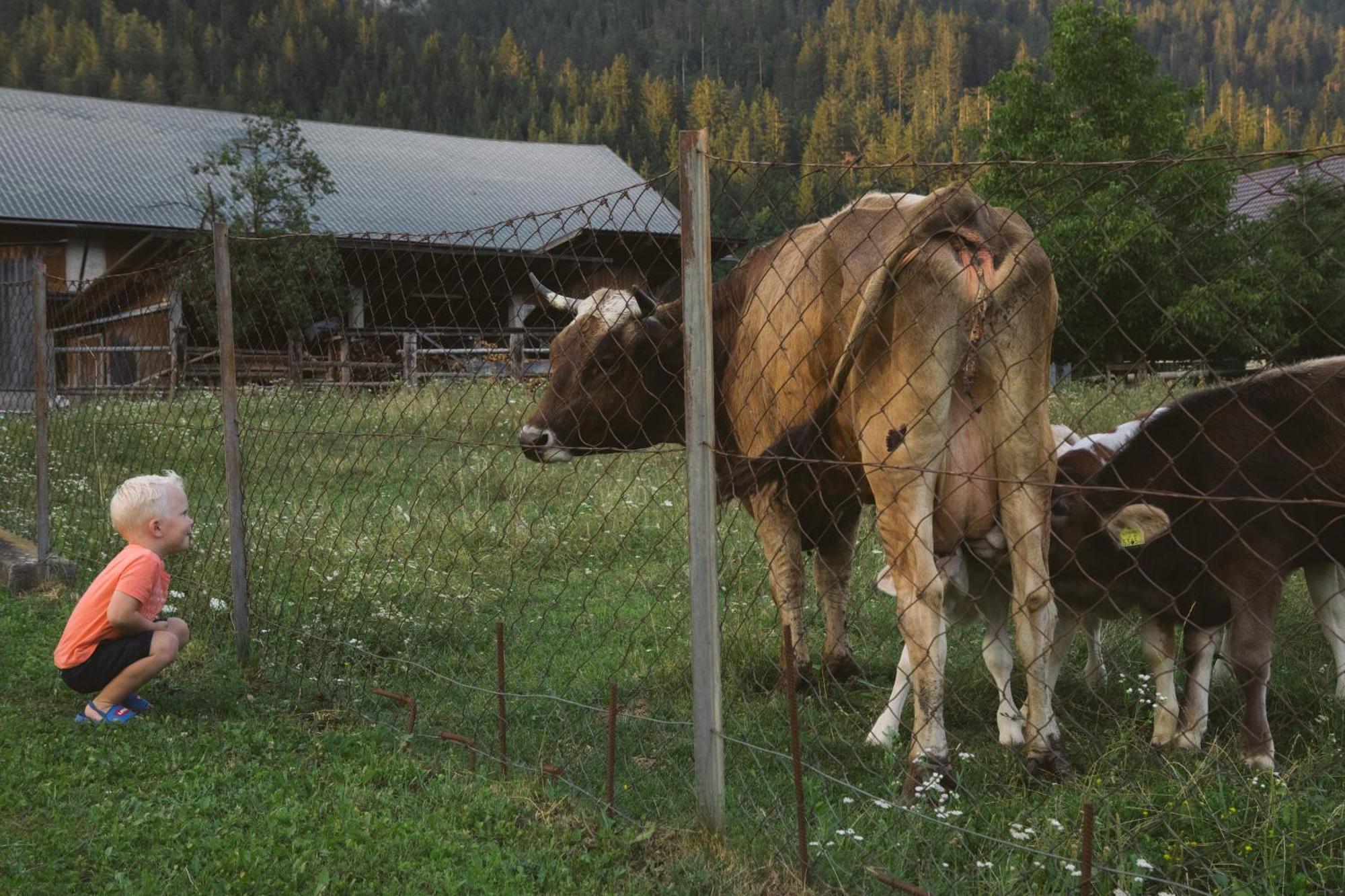 Landhaus Obervellach Хермагор Екстериор снимка